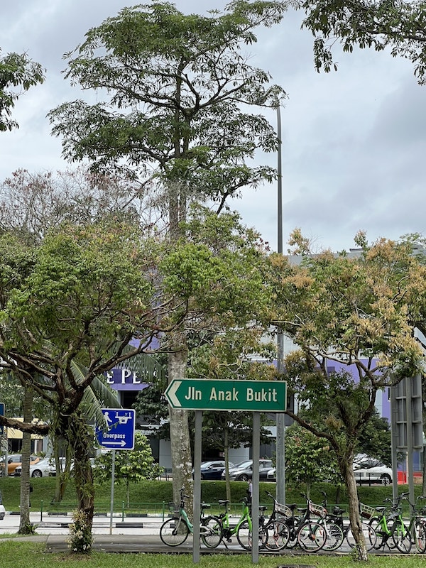 Jalan Anak Bukit Street Near To The Reserve Residences New Launch Condo at Jalan Anak Bukit by Far East and Sino Group